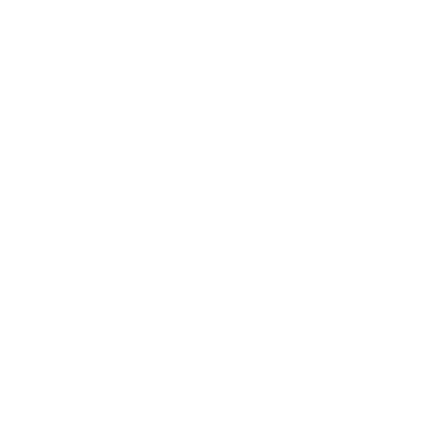 Conch Shell International FF